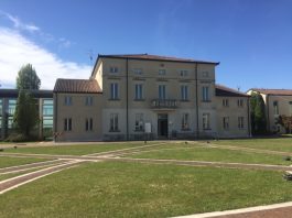 Curtatone, rottura definitiva nell’opposizione: tre consiglieri sfiduciano la capogruppo Emiliani