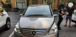 Cagnolino di 8 mesi muore investito dopo essere fuggito dalla padrona