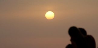 Il cuore si emoziona e guida il nostro cervello
