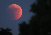 Eclissi di Luna il 28 agosto: da Mantova visibile dalle 4,30 all’alba