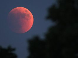 Eclissi di Luna il 28 agosto: da Mantova visibile dalle 4,30 all’alba