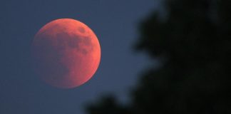 Luna rossa 2022, questa notte l’eclissi totale: orari e dove vederla