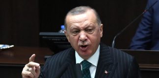 Erdogan: “Contrari a Svezia e Finlandia in Nato, sostengono terroristi”