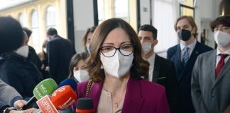 Fi, caso Salini scuote partito: Gelmini delusa