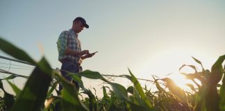 Competenze green nell’agritech, selezionati 3 finalisti del Nestlé Startup Program