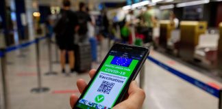 Stop Green pass per entrare in Italia: cosa dicono Bassetti, Clementi, Ricciardi
