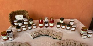 I giovani industriali incontrano il progetto “Eco p.o.s.t.i.”: incentiverà le start up sostenibili