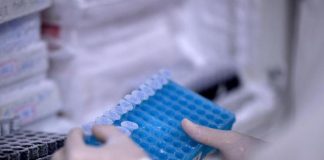 Vaiolo delle scimmie, Svizzera pensa a vaccino