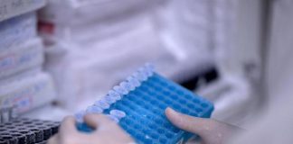 Vaiolo delle scimmie, “abbiamo 5 milioni dosi di vaccino: pronti se servirà”