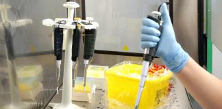 Vaiolo delle scimmie in Italia, sintomi e mortalità