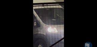 Con un pick up sfondano la vetrina di un negozio di bici e ne rubano 10. Il video