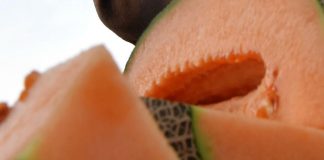 Meteo incerto e impollinazione difficile: la stagione del melone al via a rilento