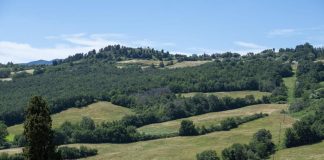 Sanpellegrino e biodiversità, nuove iniziative per insetti impollinatori
