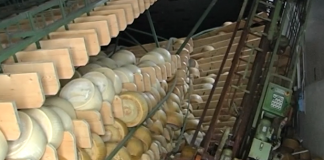 Il sisma e l’agricoltura. Coldiretti, Carra: “Uniti abbiamo saputo superare le difficoltà”