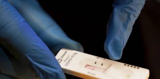 Omicron 4 e 5, presidente virologi: “Domineranno, gestione a casa cruciale”