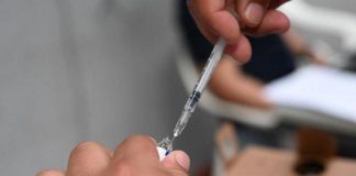 Vaiolo scimmie, vaccino e quarantena: circolare ministero Salute