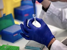 Covid nel mantovano: 341 nuovi positivi. In città +35, a Viadana +22. Da 5 giorni sopra i 300 casi