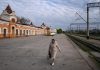 Ucraina, sindaco Zaporizhzhia: “Coprifuoco il 9 maggio per tutto il giorno”
