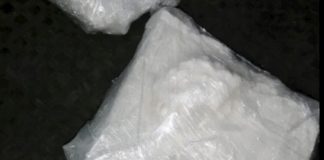 A Trieste sequestrate 4,3 tonnellate di cocaina, 38 gli arrestati