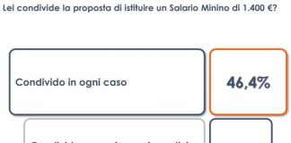 L’idea del salario minimo piace al 46% degli italiani
