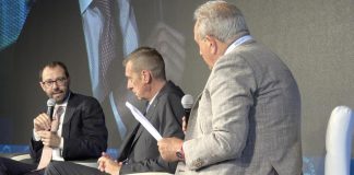 Pnrr, Patuanelli: “Difficile per le imprese programmare investimenti, effetto leva in discussione”