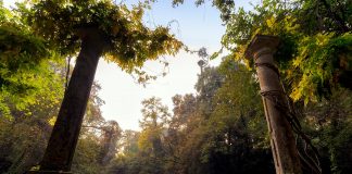 Domenica 3 luglio a Parco Bertone “Terra/Aria”: esercizi di ecopsicologia