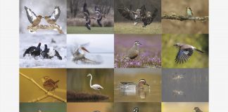 Inaugura domani “Admirandum” mostra fotografica in onore del conte Luigi d’Arco