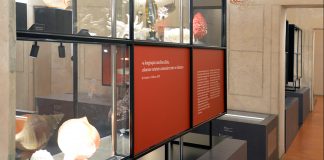 Estate a Palazzo Ducale, primo weekend con “Naturalia e Mirabilia”