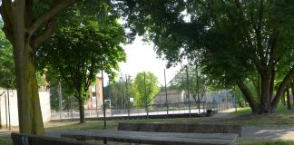 Hockey a rotelle nei giardini Cadorna a Suzzara, si alla convenzione tra Comune e associazione UVP Roller