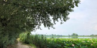 Sentiero Angeli-Belfiore: chiuso a bici e pedoni dal 25 al 29 ottobre per lavori di manutenzione