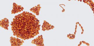 Mandorle, saziano senza far ingrassare e rafforzano le difese anti-Uvb