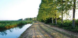 Siccità, problemi di approvvigionamento nel Sinistra Mincio. La Regione porta il livello di severità idrica ad “alta”