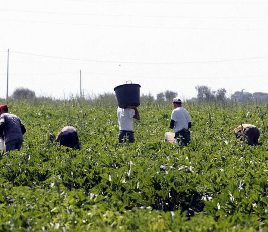 Lavoro nero e caporalato una piaga, ma la Lombardia ha gli indicatori più virtuosi