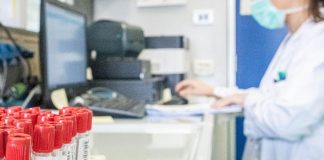Vaiolo scimmie, virus nello sperma: la scoperta dello Spallanzani