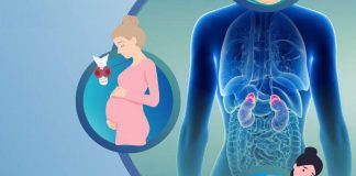 Domani Giornata nazionale endocrinologia, focus sulle donne