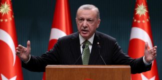 Ucraina, Erdogan: “Parlerò con Putin e Zelensky per grano”