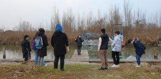 Progetto “Mantua Farm School”, domani la festa alla Goliarda