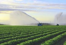 Mantova, crisi idrica: il Consorzio Territori del Mincio programma le irrigazioni Costi energetici raddoppiati per l'irrigazione: cartelle suppletive per gli agricoltori del Destra Mincio