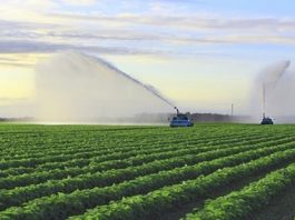 Mantova, crisi idrica: il Consorzio Territori del Mincio programma le irrigazioni Costi energetici raddoppiati per l'irrigazione: cartelle suppletive per gli agricoltori del Destra Mincio