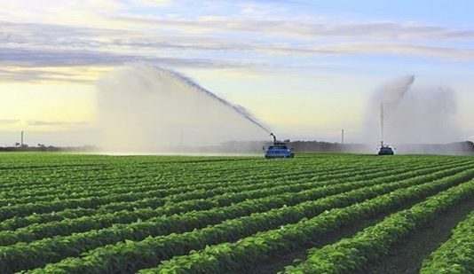 Mantova, crisi idrica: il Consorzio Territori del Mincio programma le irrigazioni Costi energetici raddoppiati per l'irrigazione: cartelle suppletive per gli agricoltori del Destra Mincio