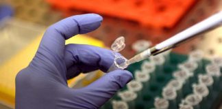 Galápagos acquisisce CellPoint e AboundBio per cure Car-T