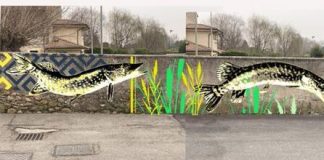 Pozzolo: gli studenti del Liceo Artistico dedicano un murales al luccio