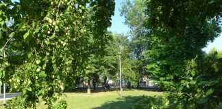 Suzzara, ecco il progetto di un parco giochi inclusivo nello spazio dell’Olga Villi