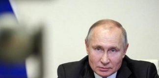 Ucraina, Putin: “Su grano isteria immotivata”