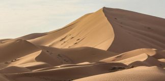 Libia, 20 migranti morti di sete nel deserto