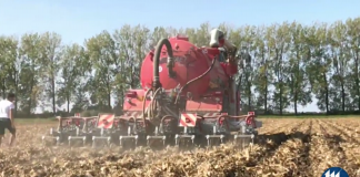 Minima lavorazione e agricoltura di precisione per salvaguardare terreno e ambiente