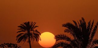 Ferie, come si maturano: ecco il calcolo da fare