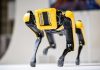 In Ucraina arriva Spot, cane robot Usa che neutralizza mine inesplose