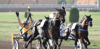 Ippica: trotto, domani a Capannelle triplo Gran Premio di fine stagione