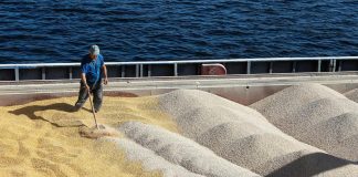 Grano Ucraina, nessun accordo tra Turchia e Russia su export